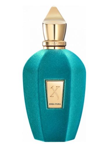 Erba Pura by Xerjoff Eau De Parfum